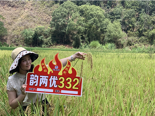 韻兩優332